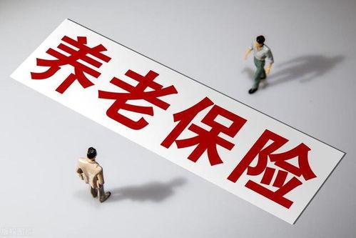 国产毛片久久久久久国产毛片,历史与现状的交织